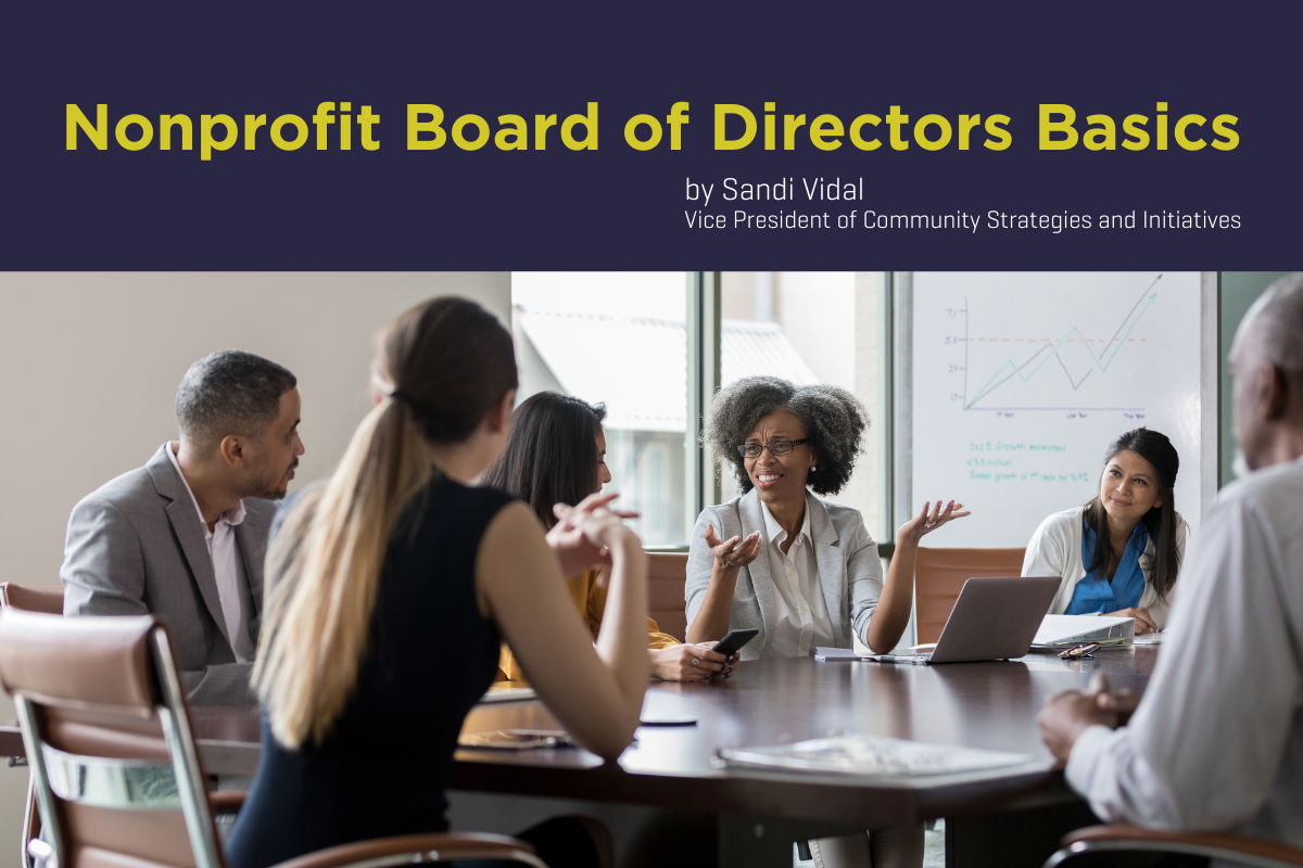 nonprofit board of directors blog post sandi vidal