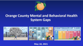Orange County Mental and Behavioral Health Syatem Gaps, 2021