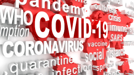COVID-19 and the Experiences of Populations at Greater Risk, 2020