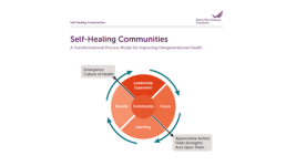 Self- Healing Communities, 2016