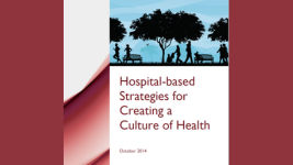 Hospital Based Strategies for Creating a Culture of Health, 2014