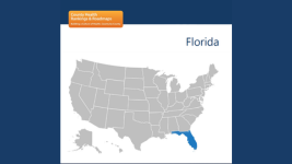 County Health Rankings and Roadmaps State of Florida, 2019