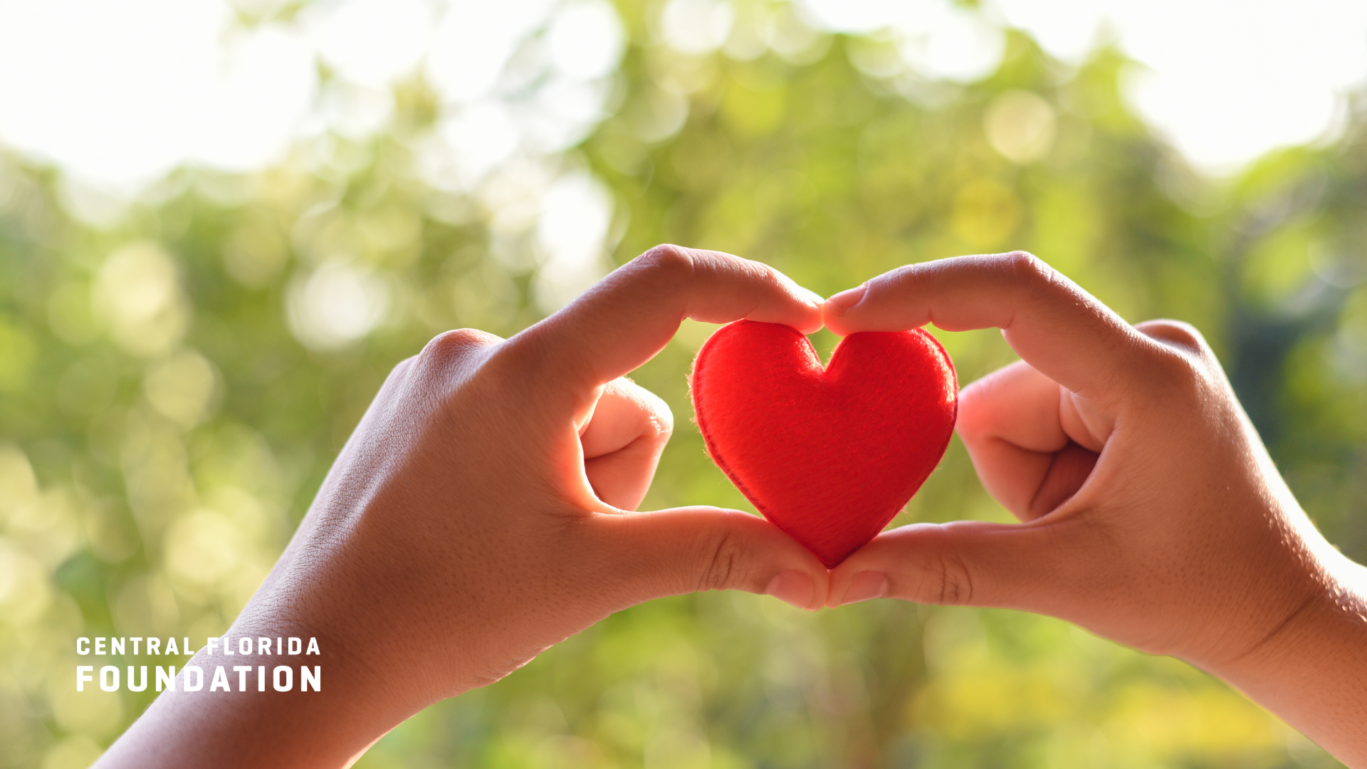 hands holding a small heart-shaped object